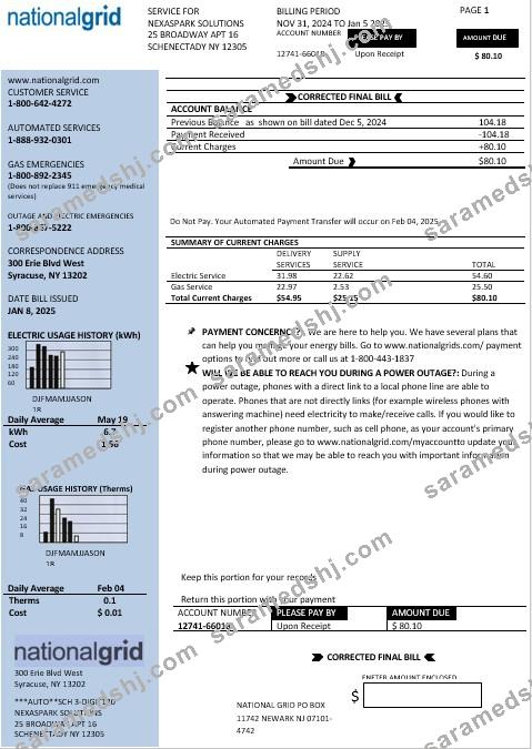 USA New York National Grid business utility bill template in Word and PDF formats